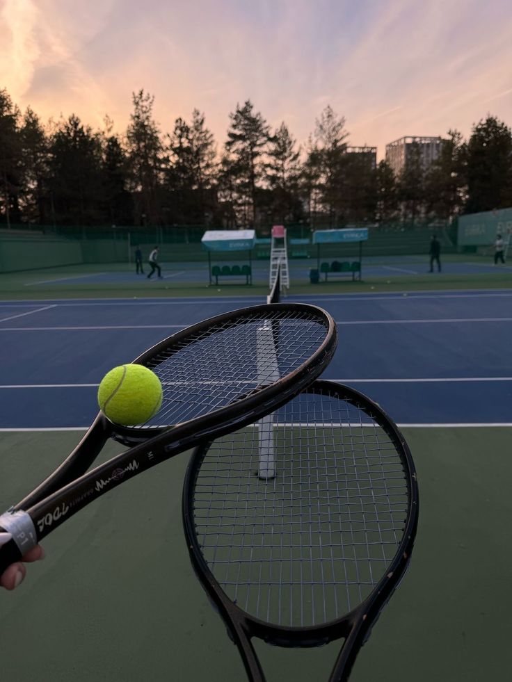 Pembangunan Lapangan Padel sebagai Investasi Olahraga Masa Depan di Pekanbaru